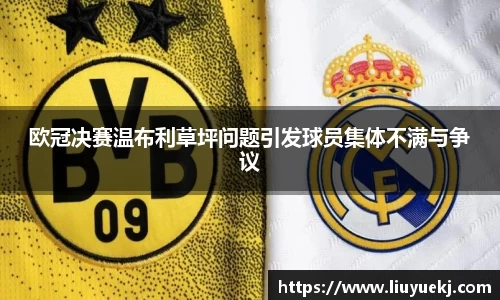 欧冠决赛温布利草坪问题引发球员集体不满与争议